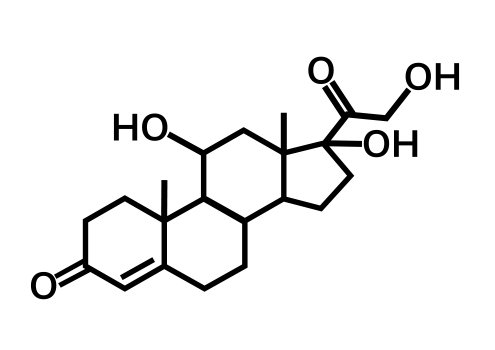 kortyzol