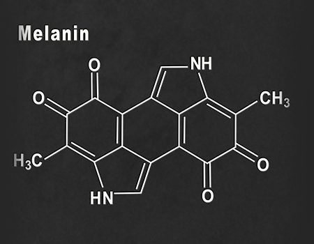 co to jest melanina