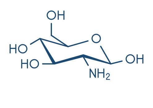 co to jest glukozamina