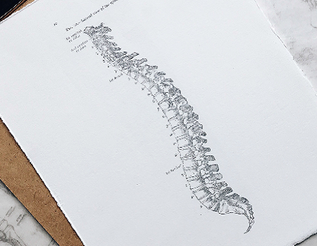 profilaktyka osteoporozy