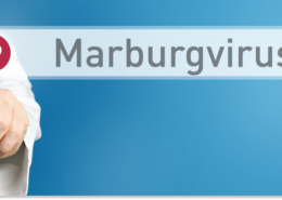 wirus marburg