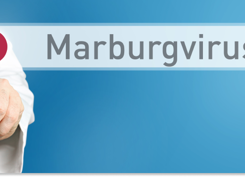wirus marburg