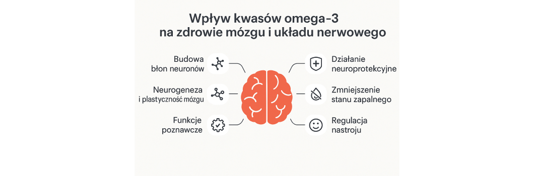 kwasy omega 3 dla dorosłych