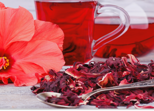 hibiskus właściwości