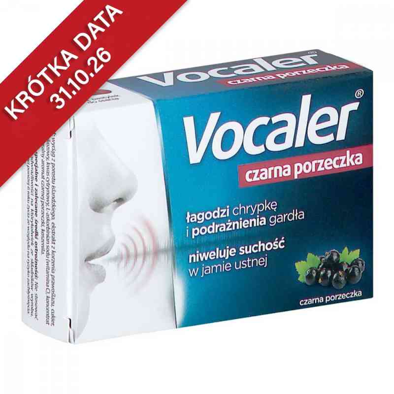 VOCALER czarna porzeczka pastylki 12  od AFLOFARM FARMACJA POLSKA SP. Z O.O. PZN 08302917