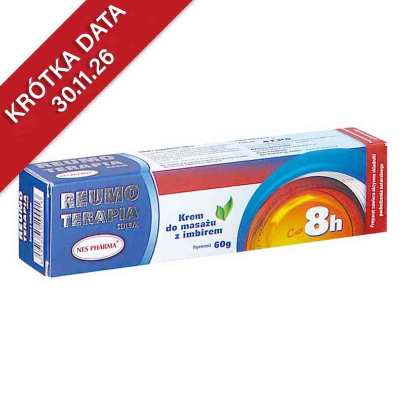 Reumo Terapia Krem z imbirem 60 g od ALPA VELKE MEZRICI PZN 08303883