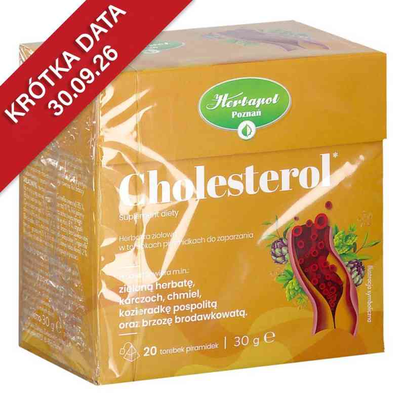 Cholesterol 20  od MOKATE S.A. PZN 08305561