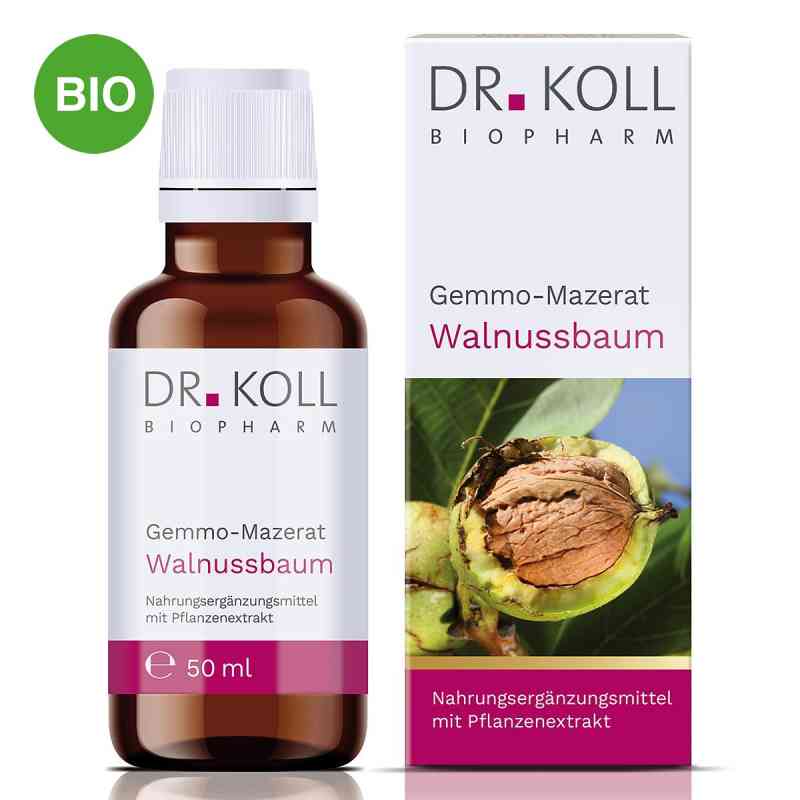 Dr. Koll Gemmo-Mazerat Krople z orzecha włoskiego 50 ml od Dr. Koll Biopharm GmbH PZN 20059917