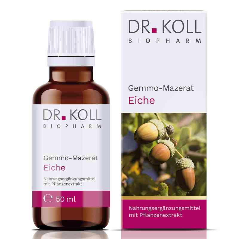 Gemmo-mazerat Eiche Doktor koll Quercus Peduncul.tro. 50 ml