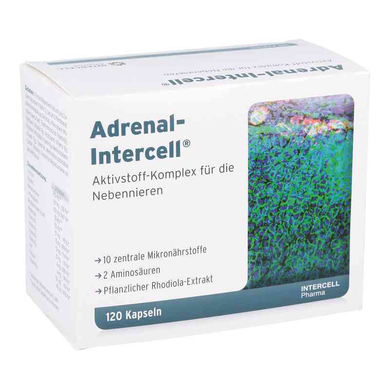Adrenal-Intercell kapsułki 120 szt. od INTERCELL-Pharma GmbH PZN 11316315