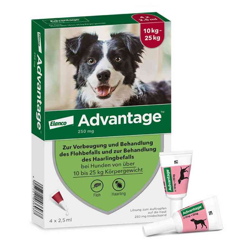 Advantage Spot-On dla psów o masie ciała od 10 do 25 kg 4 szt. od Elanco Deutschland GmbH PZN 08613328