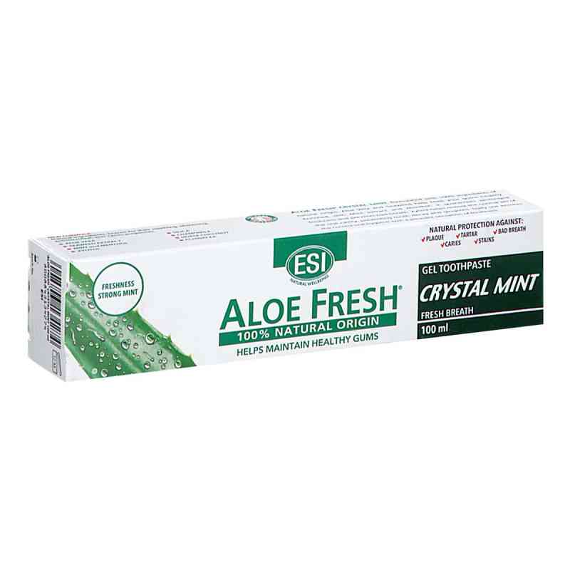 Aloe Vera Zahnpasta Dent Mint 100 ml od Groß GmbH PZN 19291974