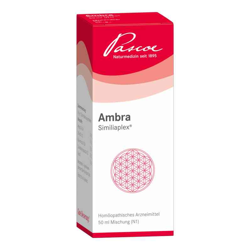 Ambra Similiaplex 50 ml od Pascoe pharmazeutische Präparate PZN 03833580