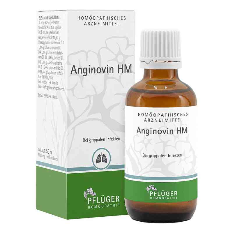 Anginovin Hm krople 50 ml od Homöopathisches Laboratorium Ale PZN 01033220