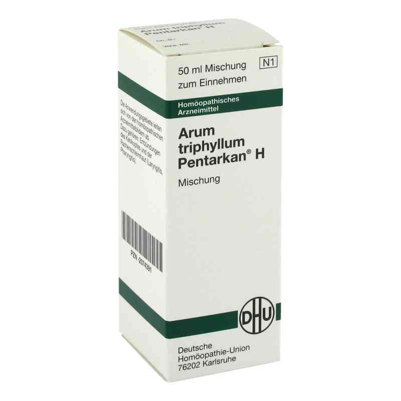 Arum Triphyllum Pentarkan H Dil. 50 ml od DHU-Arzneimittel GmbH & Co. KG PZN 02074391