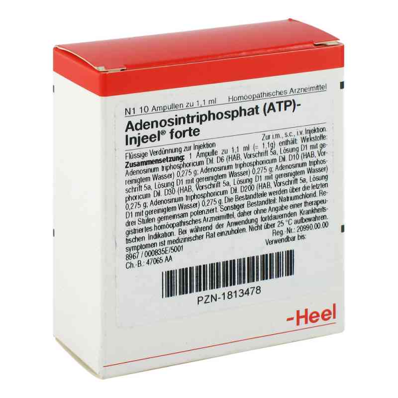 Atp Injeele forte 1,1 ml 10 szt. od Biologische Heilmittel Heel GmbH PZN 01813478