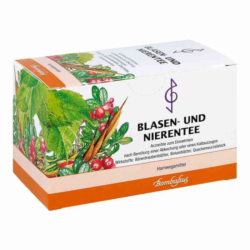 Blasen und Nierentee Herbata ziołowa na pęcherz i nerki 20X2 g od Bombastus-Werke AG PZN 04856459