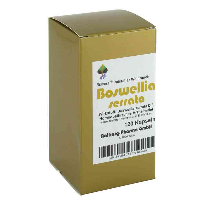Boswellia serrata Bioxera Kapseln 120 szt. od Diamant Natuur B. V. s.r.o. PZN 08538940