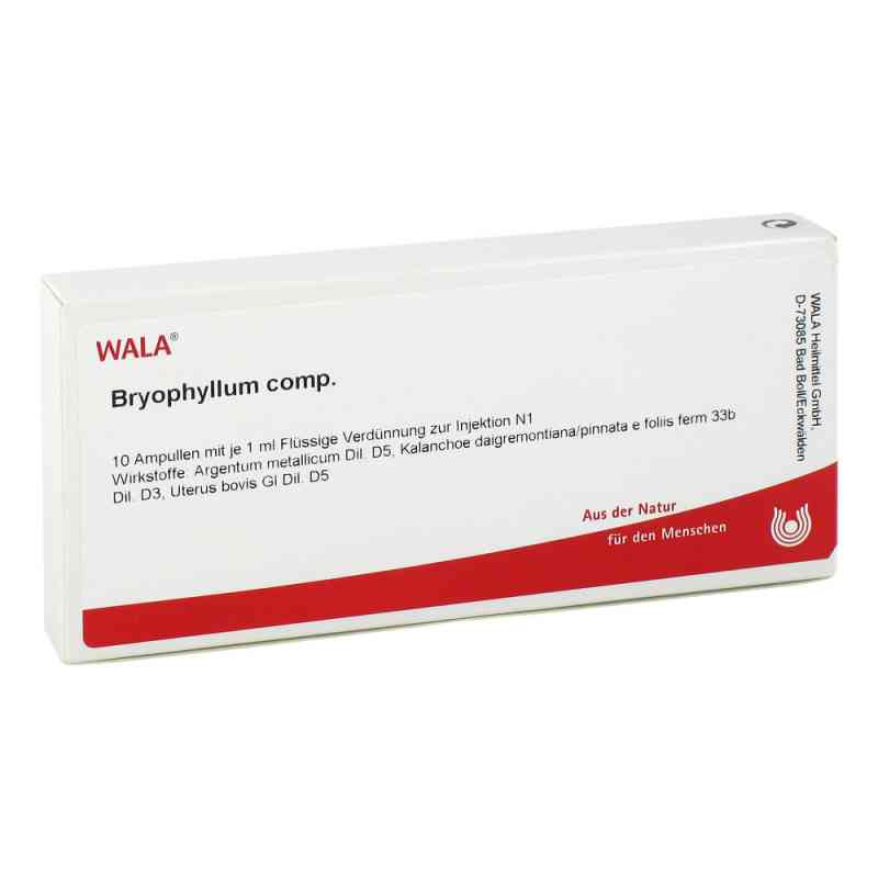 Bryophyllum Comp. ampułki 10X1 ml od WALA Heilmittel GmbH PZN 02085213