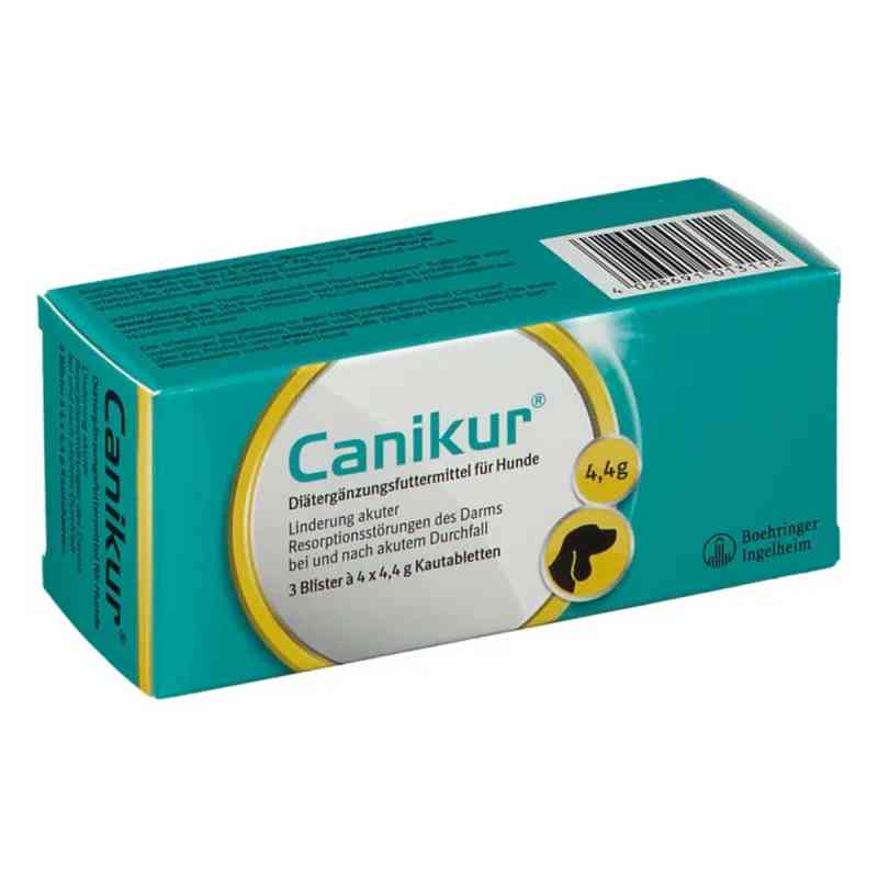 Canikur tabletki dla psów 3X4 szt. od Boehringer Ingelheim VETMEDICA GmbH PZN 01219657