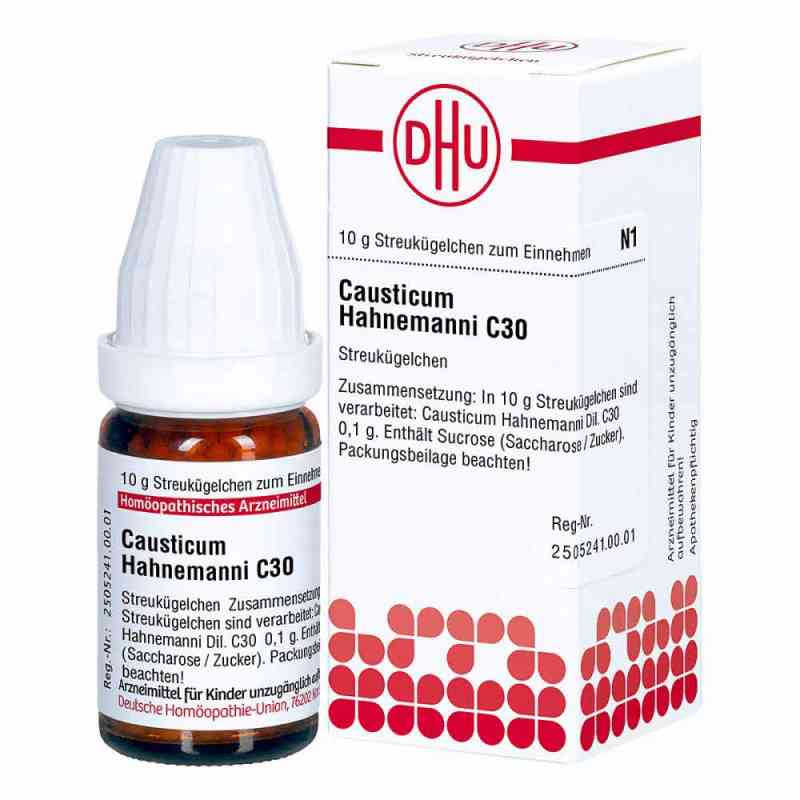 Causticum Hahnemanni C 30 granulki 10 g od DHU-Arzneimittel GmbH & Co. KG PZN 02890328