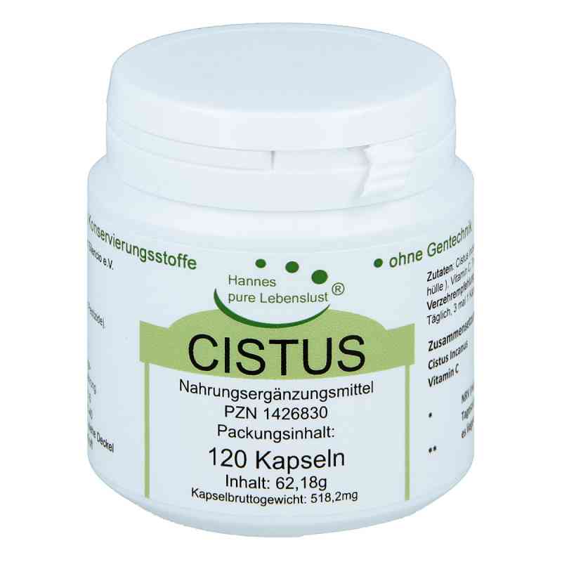 Czystek w kapsułkach wegetariańskich  120 szt. od G & M Naturwaren Import GmbH & Co. KG PZN 01426830