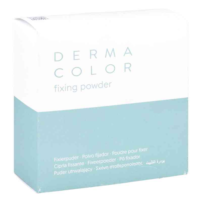 Dermacolor Camouflage Fixierpuder large P11 60 g od Kryolan GmbH PZN 15820157