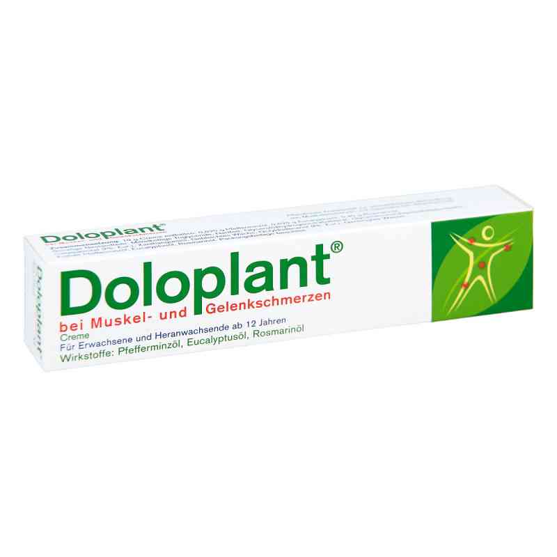 Doloplant na bóle mięśni i stawów 50 g od Dr.Willmar Schwabe GmbH & Co.KG PZN 11670181