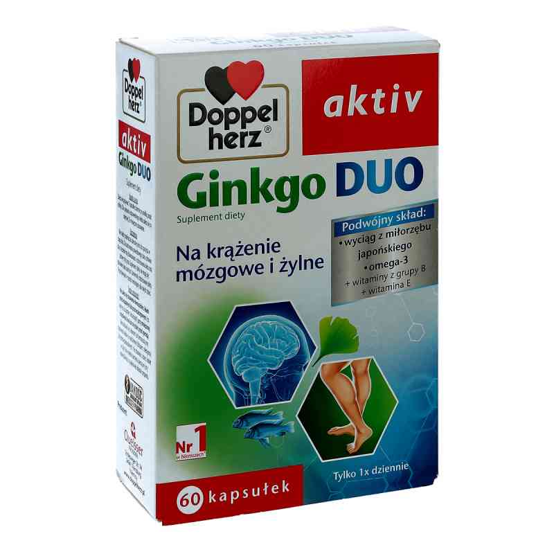 Doppelherz aktiv Ginkgo Duo kapsułki 60 kaps. od QUEISSER PHARMA GMBH & CO. PZN 08300404