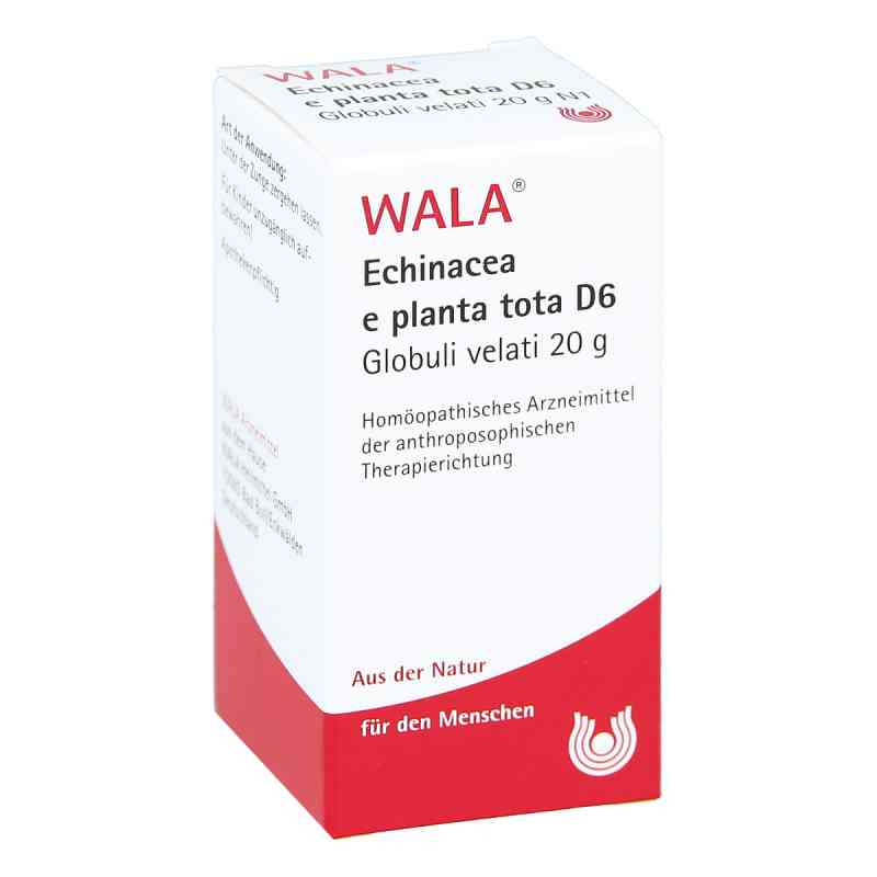 Echinacea E Planta Tota D 6 Globuli 20 g od WALA Heilmittel GmbH PZN 08785704