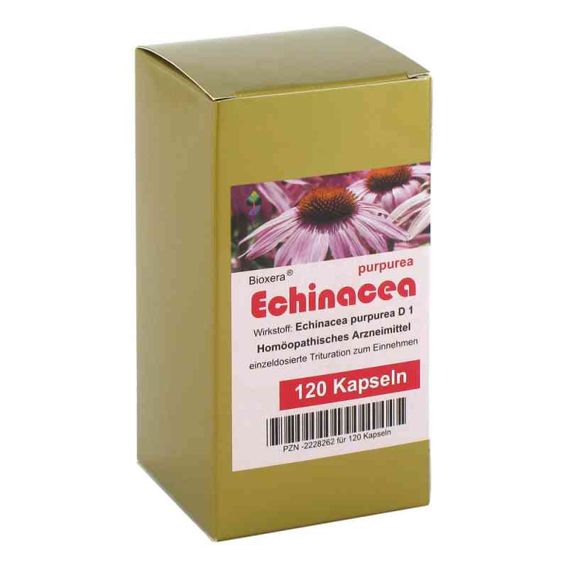 Echinacea Kapseln 120 szt. od Diamant Natuur B. V. s.r.o. PZN 02228262