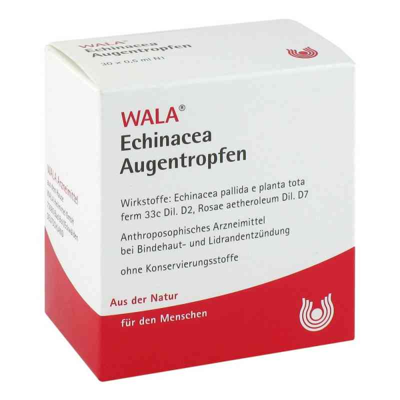 Echinacea krople do oczu 30X0.5 ml od WALA Heilmittel GmbH PZN 01448122
