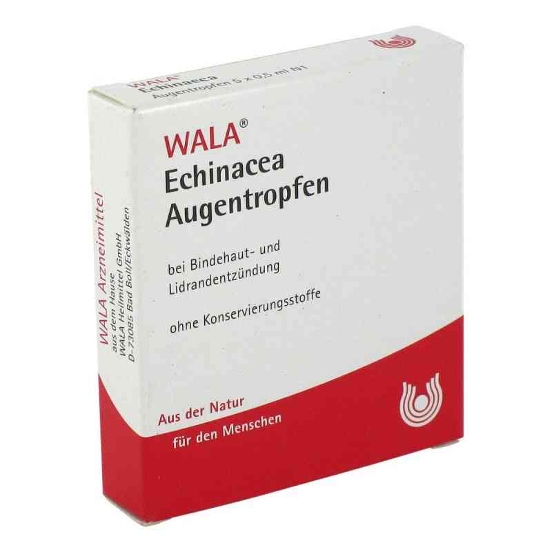 Echinacea krople do oczu 5X0.5 ml od WALA Heilmittel GmbH PZN 01448139