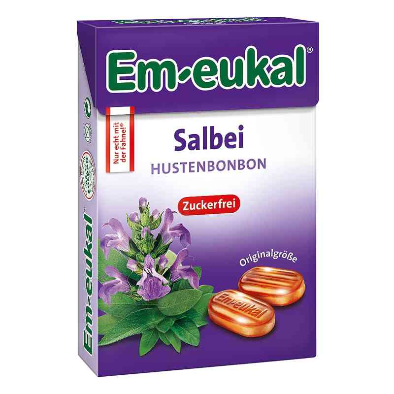 Em Eukal Bonbons Salbei zuckerfrei Box 50 g od Dr. C. SOLDAN GmbH PZN 15877654