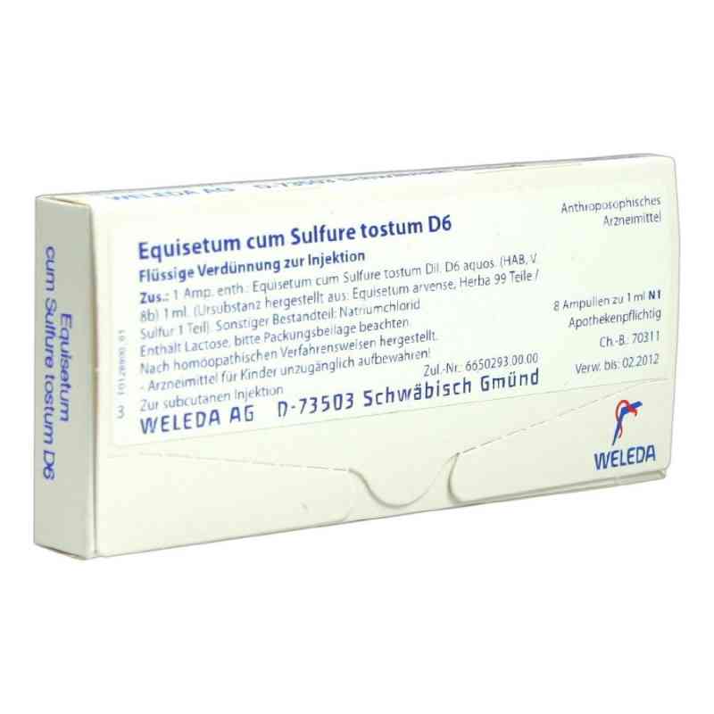 Equisetum Cum Sulf. Tost. D 6 ampułki 8X1 ml od WELEDA AG PZN 01621945