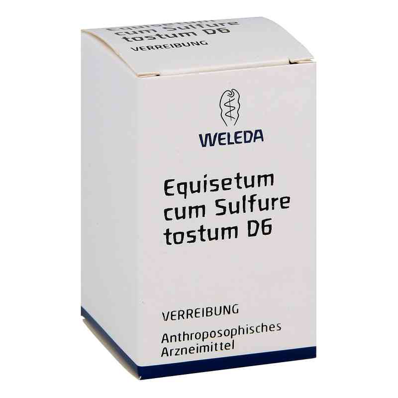 Equisetum Cum Sulf. Tost. D 6 proszek 20 g od WELEDA AG PZN 01616111