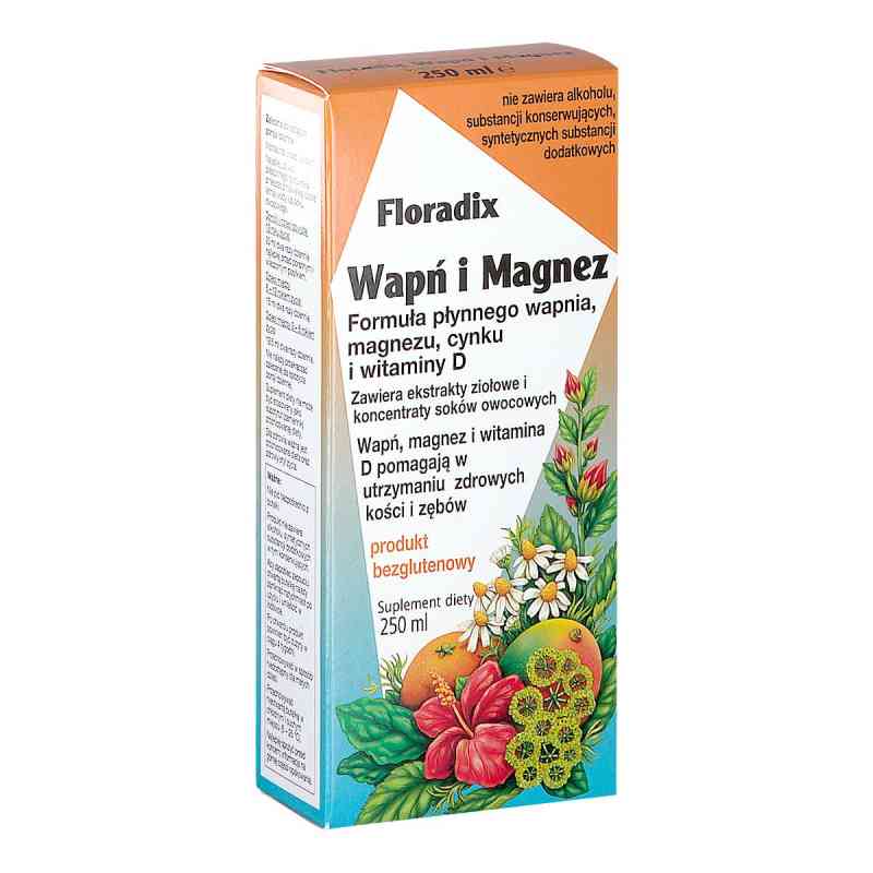Floradix Wapń i Magnez 250 ml od SALUS HAUS DR.MED. OTTO GREITHER NACHF. GMBH & CO. PZN 08303038