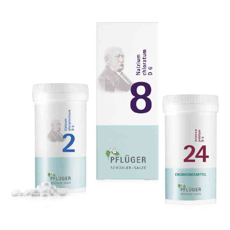 Frühlingfit-Kombi firmy Pflüger 1 op. od Homöopathisches Laboratorium Alexander Pflüger Gmb PZN 08100170