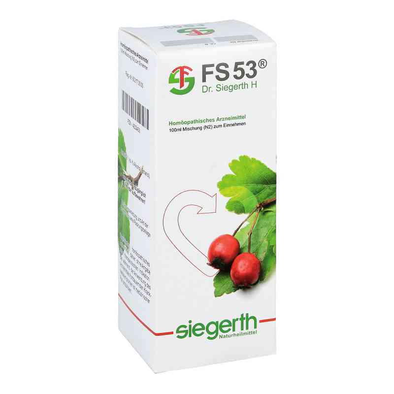Fs 53 Dr.siegerth H fluessig 100 ml od Dr. F. u. C.-H. Siegerth Naturheilmittel GmbH PZN 04202433