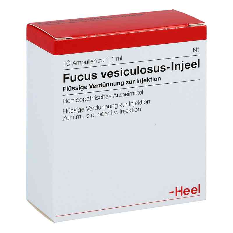 Fucus Vesiculosus Injeele 10 szt. od Biologische Heilmittel Heel GmbH PZN 00400805