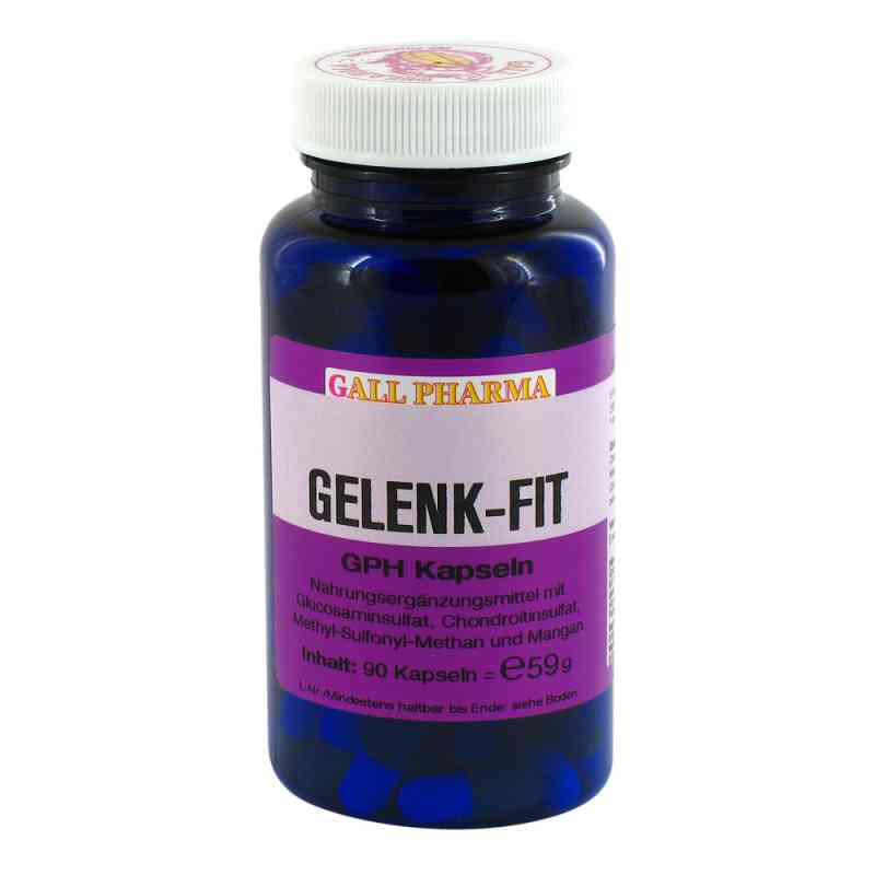 Gelenk Fit Gph kapsułki 90 szt. od Hecht-Pharma GmbH PZN 05896863