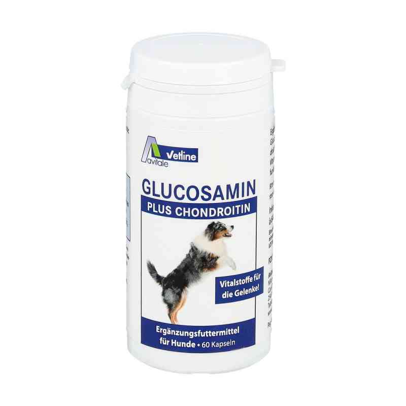 Glucosamin + Chondroitin kapsułki dla psów 60 szt. od Avitale GmbH PZN 03025727