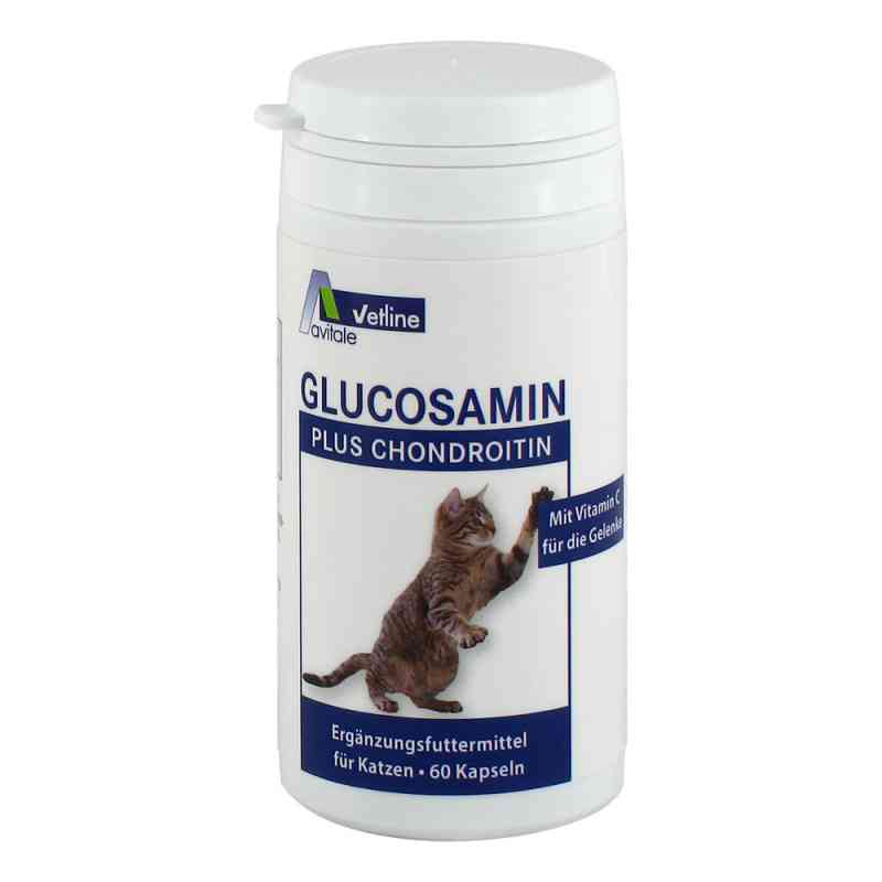 Glucosamin+chondroitin Kapseln für Katzen 60 szt. od Avitale GmbH PZN 12362866