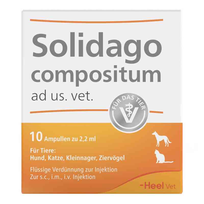 Heel Solidago Compositum ampułki weterynaryjne 10 szt. od Biologische Heilmittel Heel GmbH PZN 01219864