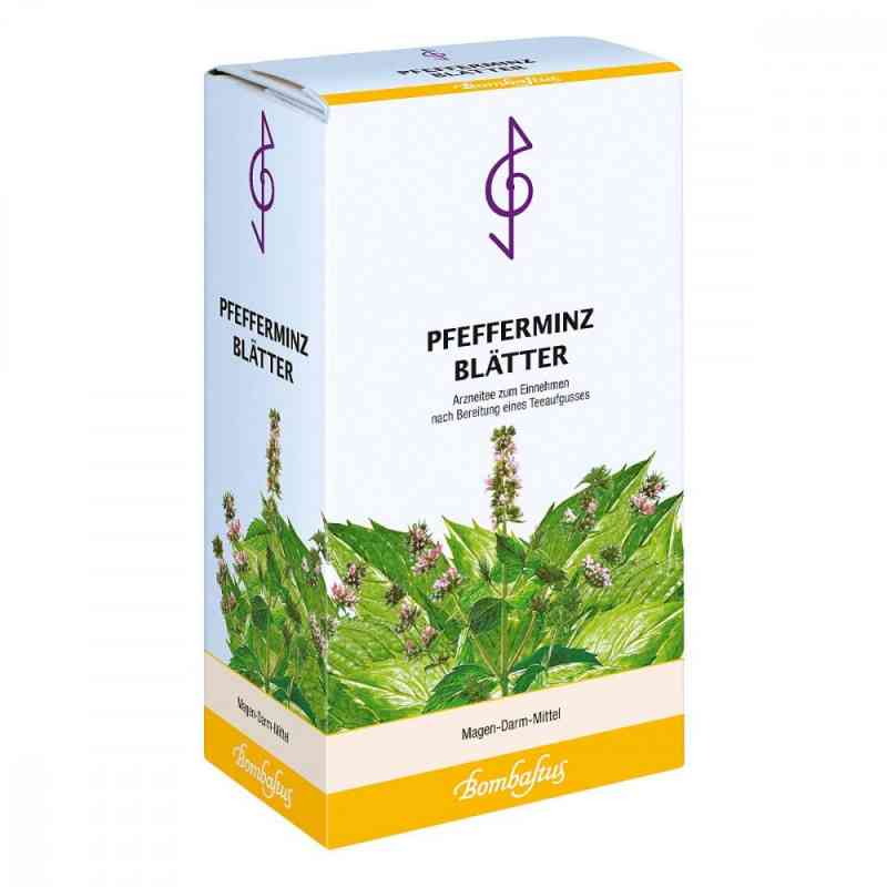 Herbata z liści mięty pieprzowej 75 g od Bombastus-Werke AG PZN 05467197