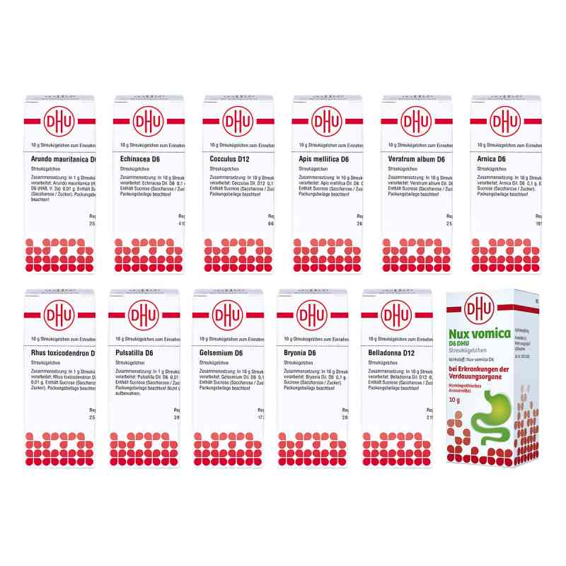 Homeopatyczna apteczka domowa 12x10 g od DHU-Arzneimittel GmbH & Co. KG PZN 08100553