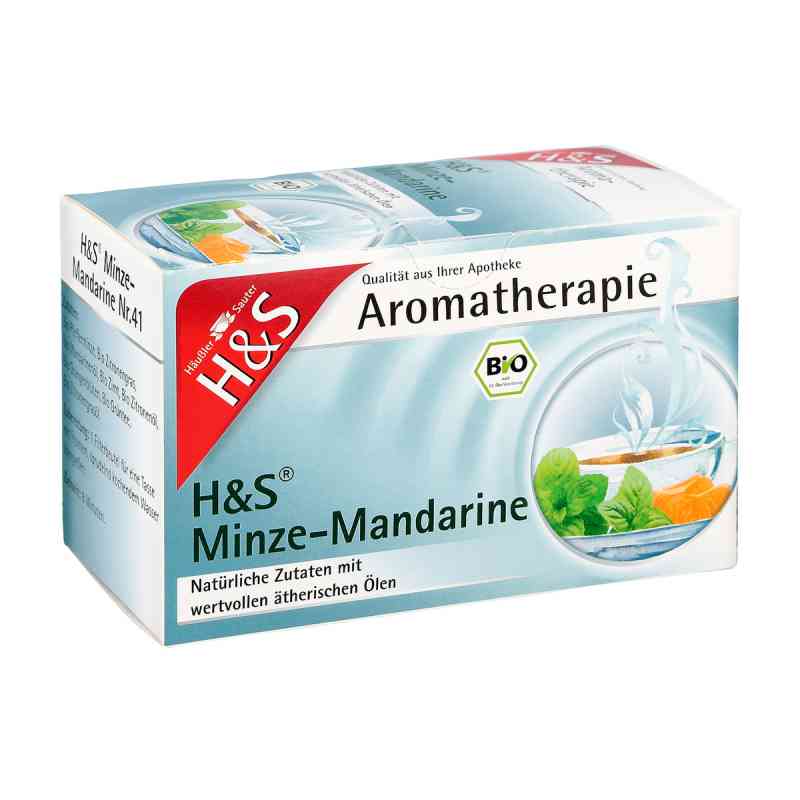 H&s Bio Minze-mandarine Aromatherapie Filterbeutel 20X1.0 g od H&S Tee - Gesellschaft mbH & Co. PZN 12374295