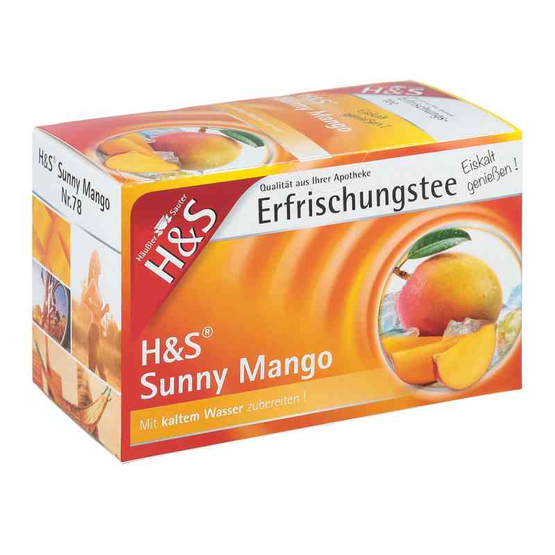 H&S herbata w saszetkach mango i limonka 20X2.8 g od H&S Tee - Gesellschaft mbH & Co. PZN 11027887