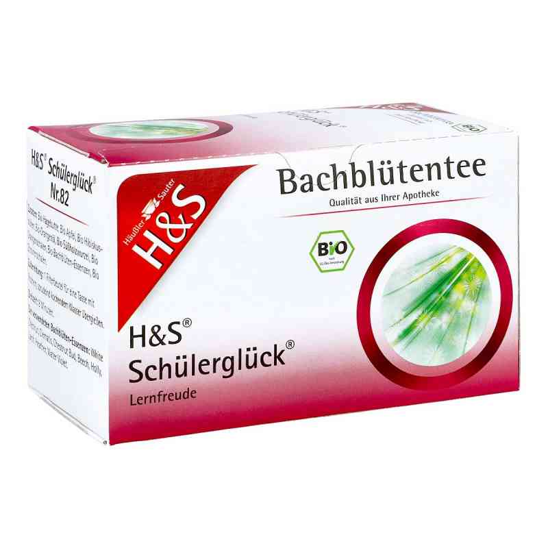 H&s Herbata ziołowa z kwiatami Bacha 20X3.0 g od H&S Tee - Gesellschaft mbH & Co. PZN 07763824