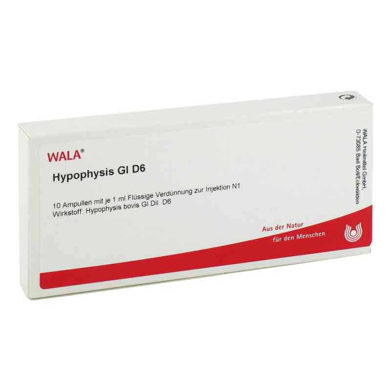 Hypophysis Gl D 6 ampułki 10X1 ml od WALA Heilmittel GmbH PZN 02829493